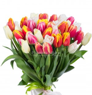 Bouquet of 41 tulips