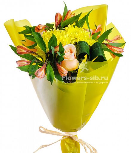 Цветы с доставкой в куйбышеве шар люкс